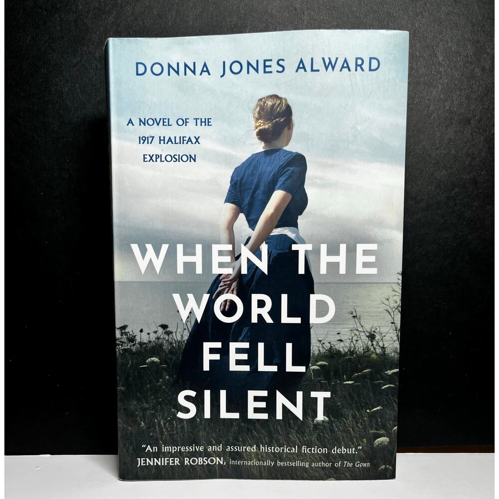 When the World Fell Silent by Donna Jones Alward 2024 Paperback WWI Novel